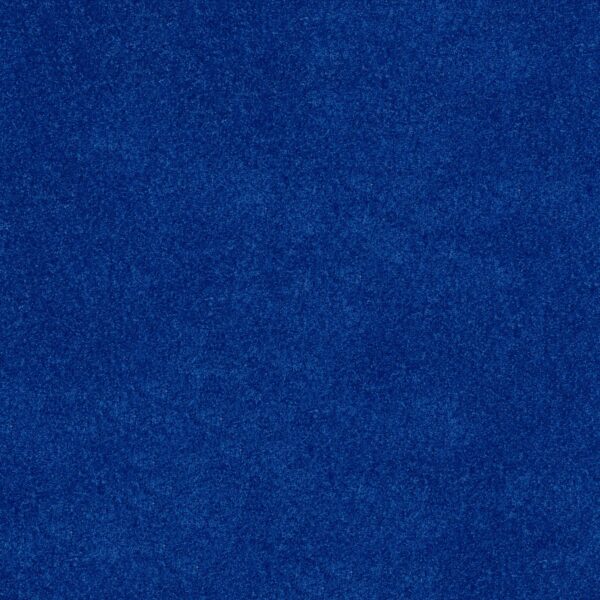 Shaw Floors Carpet Dyersburg Classic 12' Cobalt 55453_E0947