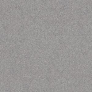 Shaw Floors Carpet Dyersburg Classic 12' Silver Bay 55500_E0947