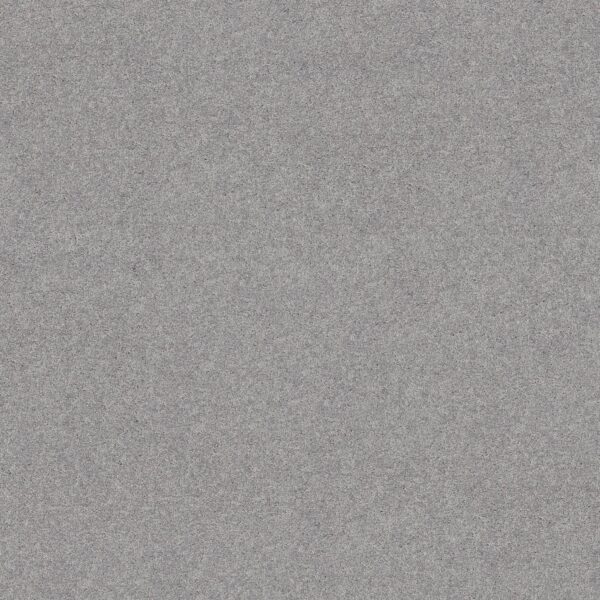 Shaw Floors Carpet Dyersburg Classic 12' Silver Bay 55500_E0947