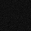 Shaw Floors Carpet Dyersburg Classic 12' Coal Black 55502_E0947