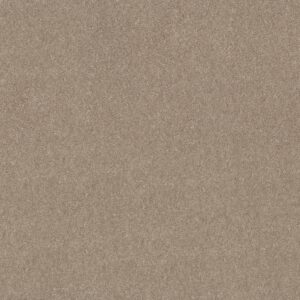 Shaw Floors Carpet Dyersburg Classic 12' Dove 55700_E0947