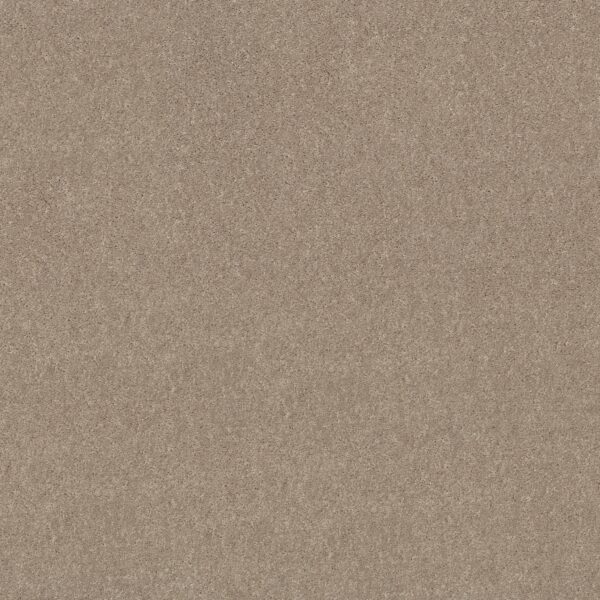 Shaw Floors Carpet Dyersburg Classic 12' Dove 55700_E0947