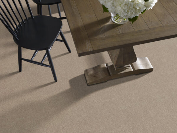 Shaw Floors Carpet Dyersburg Classic 12' Dove 55700_E0947 - Image 2