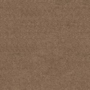 Shaw Floors Carpet Dyersburg Classic 12' Driftwood 55720_E0947