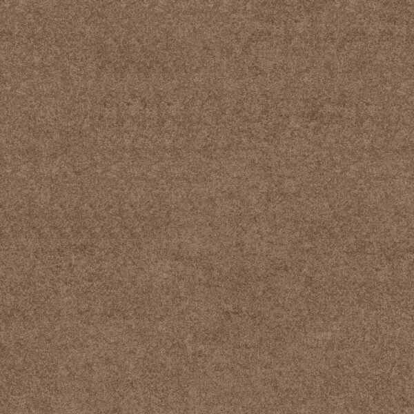 Shaw Floors Carpet Dyersburg Classic 12' Driftwood 55720_E0947