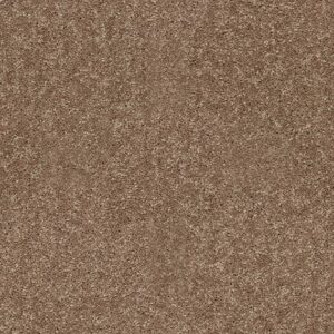 Shaw Floors Carpet Dyersburg Classic 12' Candied Truffle 55750_E0947