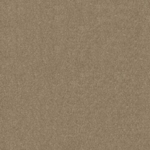 Shaw Floors Carpet Dyersburg Classic 12' Plaster 55752_E0947