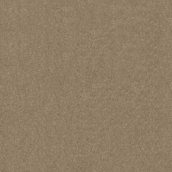 Shaw Floors Carpet Dyersburg Classic 12' Plaster 55752_E0947