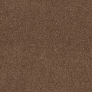 Shaw Floors Carpet Dyersburg Classic 12' Winter Wheat 55791_E0947