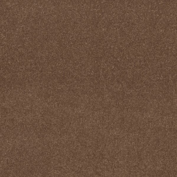 Shaw Floors Carpet Dyersburg Classic 12' Winter Wheat 55791_E0947