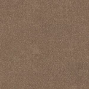Shaw Floors Carpet Dyersburg Classic 12' Taupe Mist 55792_E0947