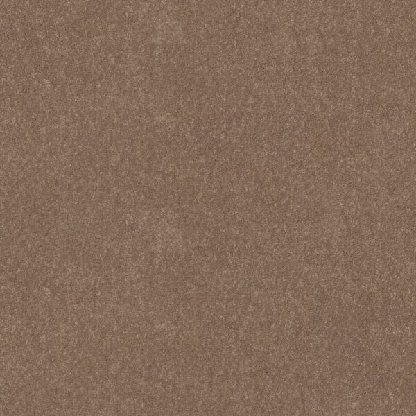 Shaw Floors Carpet Dyersburg Classic 12' Taupe Mist 55792_E0947