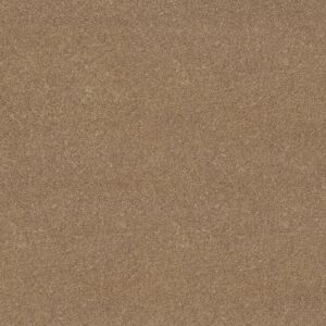 Shaw Floors Carpet Dyersburg Classic 12' Dusty Trail 55793_E0947