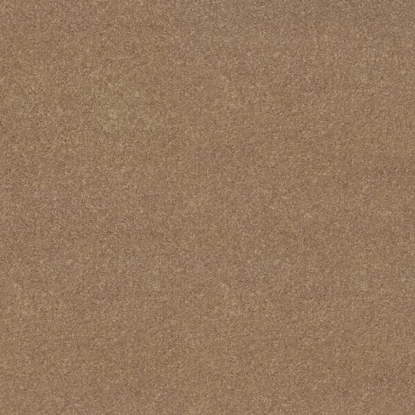 Shaw Floors Carpet Dyersburg Classic 12' Dusty Trail 55793_E0947