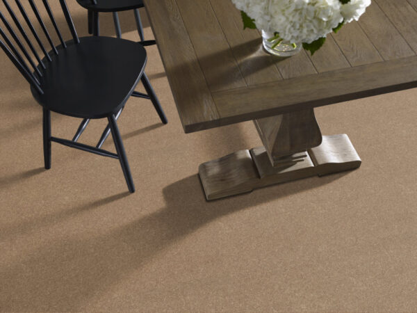 Shaw Floors Carpet Dyersburg Classic 12' Dusty Trail 55793_E0947 - Image 2