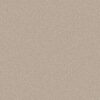 Shaw Floors Carpet Dyersburg Classic 15' Crisp Linen 00109_E0948