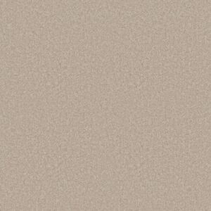 Shaw Floors Carpet Dyersburg Classic 15' Crisp Linen 00109_E0948