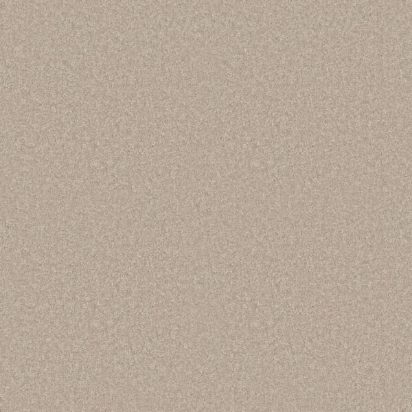 Shaw Floors Carpet Dyersburg Classic 15' Crisp Linen 00109_E0948