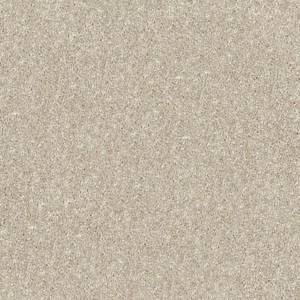 Shaw Floors Carpet Dyersburg Classic 15' Sand Dollar 00116_E0948