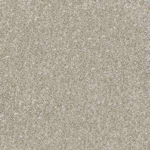 Shaw Floors Carpet Dyersburg Classic 15' Antique Silk 00131_E0948