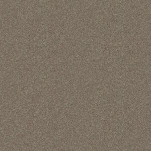Shaw Floors Carpet Dyersburg Classic 15' Pebble Path 00132_E0948
