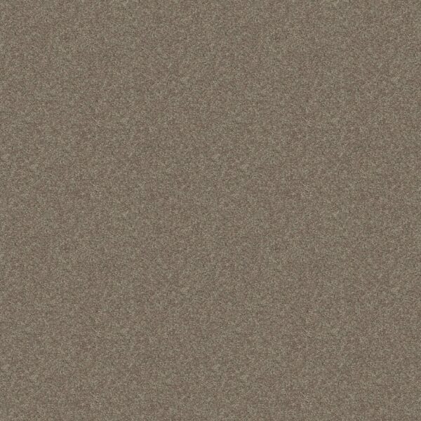 Shaw Floors Carpet Dyersburg Classic 15' Pebble Path 00132_E0948