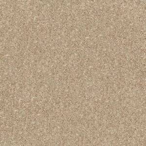 Shaw Floors Carpet Dyersburg Classic 15' Straw Hat 00260_E0948