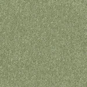 Shaw Floors Carpet Dyersburg Classic 15' Going Green 00330_E0948