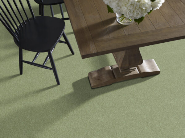Shaw Floors Carpet Dyersburg Classic 15' Going Green 00330_E0948 - Image 2