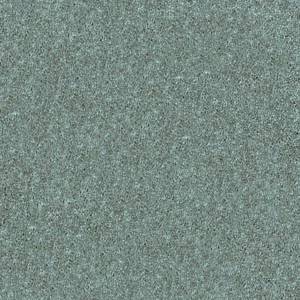 Shaw Floors Carpet Dyersburg Classic 15' Bahama Bay 00454_E0948