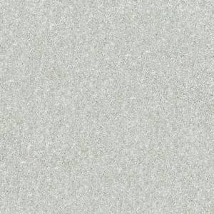Shaw Floors Carpet Dyersburg Classic 15' Morning Fog 00530_E0948