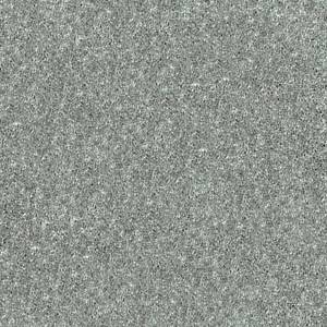 Shaw Floors Carpet Dyersburg Classic 15' Haze 00531_E0948