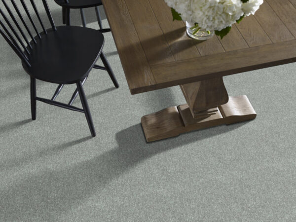 Shaw Floors Carpet Dyersburg Classic 15' Haze 00531_E0948 - Image 2