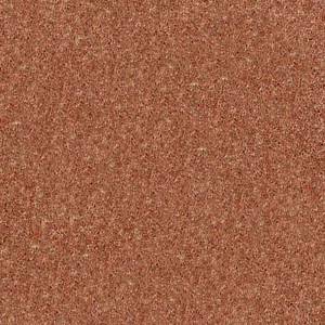 Shaw Floors Carpet Dyersburg Classic 15' Sunburst 00630_E0948
