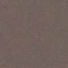 Shaw Floors Carpet Dyersburg Classic 15' Suede 00731_E0948