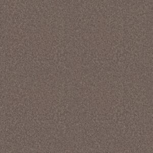 Shaw Floors Carpet Dyersburg Classic 15' Suede 00731_E0948