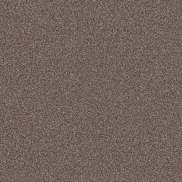 Shaw Floors Carpet Dyersburg Classic 15' Suede 00731_E0948