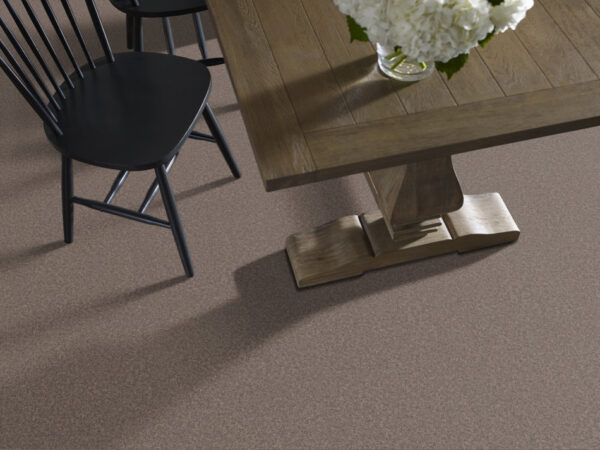 Shaw Floors Carpet Dyersburg Classic 15' Suede 00731_E0948 - Image 2