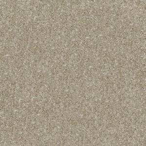 Shaw Floors Carpet Dyersburg Classic 15' Fossil 00761_E0948