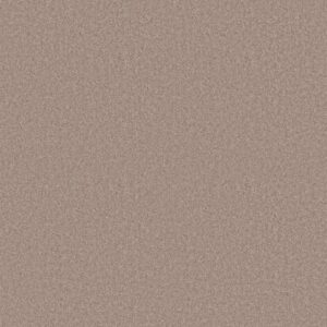 Shaw Floors Carpet Dyersburg Classic 15' Cabin 00762_E0948
