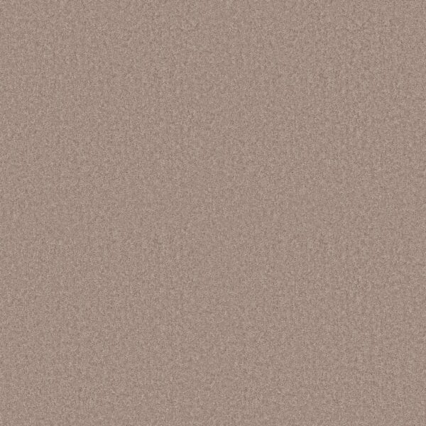 Shaw Floors Carpet Dyersburg Classic 15' Cabin 00762_E0948