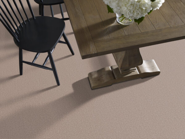 Shaw Floors Carpet Dyersburg Classic 15' Cabin 00762_E0948 - Image 2