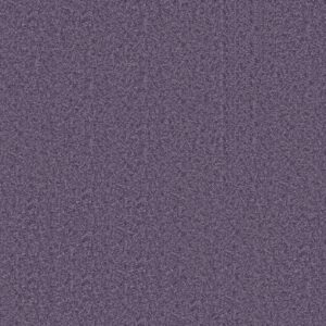 Shaw Floors Carpet Dyersburg Classic 15' Violet Crush 00930_E0948