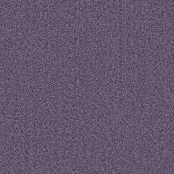 Shaw Floors Carpet Dyersburg Classic 15' Violet Crush 00930_E0948