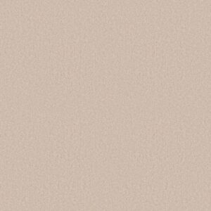 Shaw Floors Carpet Dyersburg Classic 15' Alabaster 55100_E0948