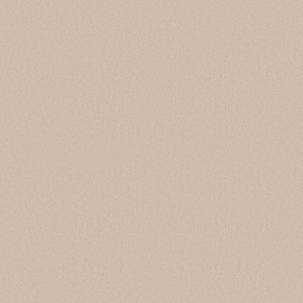 Shaw Floors Carpet Dyersburg Classic 15' Alabaster 55100_E0948