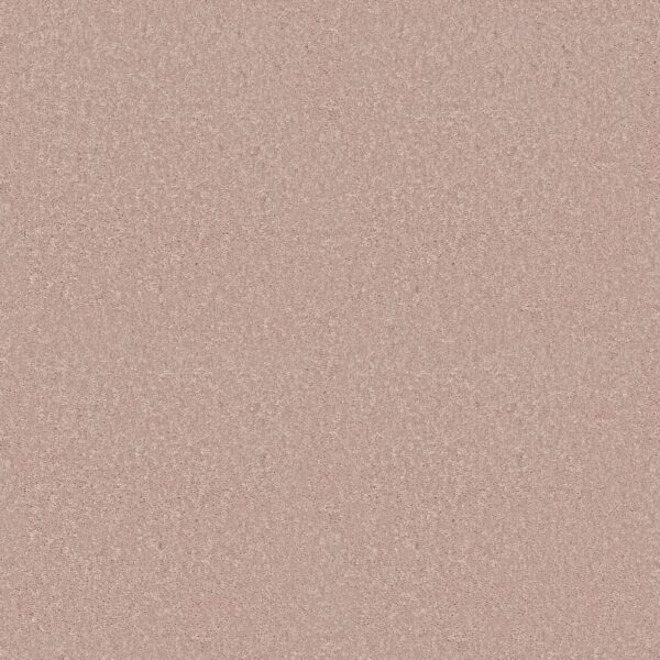 Shaw Floors Carpet Dyersburg Classic 15' Cashmere 55103_E0948