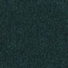 Shaw Floors Carpet Dyersburg Classic 15' Polo 55301_E0948
