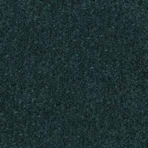 Shaw Floors Carpet Dyersburg Classic 15' Polo 55301_E0948