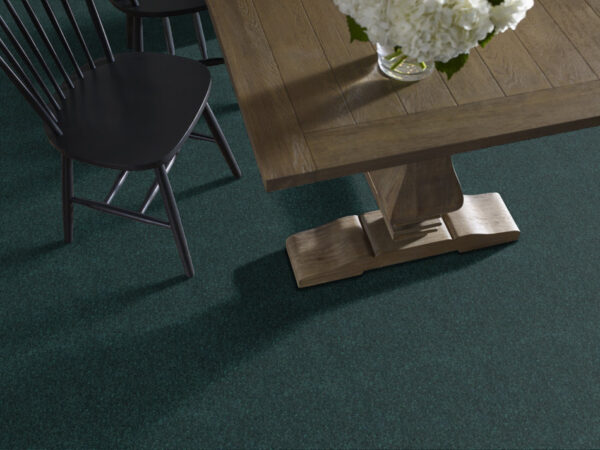 Shaw Floors Carpet Dyersburg Classic 15' Polo 55301_E0948 - Image 2